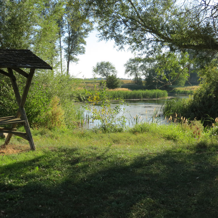 Teich am Bogensportplatz